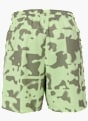Nike Shorts Grün 120103 2
