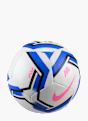 Nike Ballon Bleu 120124 2