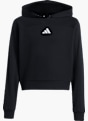 adidas Sweat à capuche Noir 120387 1
