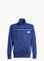 adidas Survêtement Bleu 120415 2