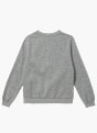 Nike Sweatshirt Grau 120502 2