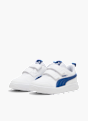 PUMA Tenisky Biela 120577 2