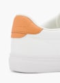 Pepe Jeans Sneaker Weiß 120652 6