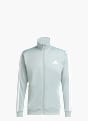 adidas Trainingsanzug Grau 121558 2