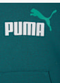 PUMA Sweat à capuche Vert foncé 121539 3