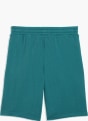PUMA Short Vert foncé 121794 2