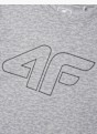 4F T-Shirt Szary 122279 3