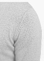 JJ Rebel Sweatshirt Grau 122999 5