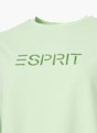 ESPRIT T-Shirt Grün 124132 3