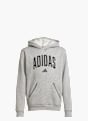 adidas Hoodie Grau 125099 1