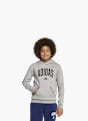 adidas Hoodie Grau 125099 2