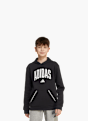 adidas Hoodie Grau 125102 2