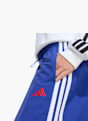 adidas Jogginghose Blau 125858 6
