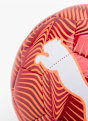 PUMA Ball Rot 129490 2