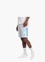 adidas Shorts Grau 131534 2