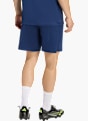 adidas Shorts Dunkelblau 131556 2