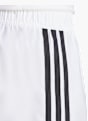 adidas Shorts Weiß 135063 4