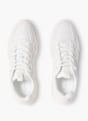 Champion Sneaker Bianco 141588 5