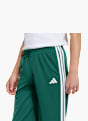 adidas Jogginghose Grün 145946 6
