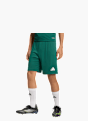 adidas Shorts Dunkelgrün 146024 2