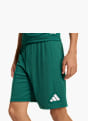 adidas Shorts Dunkelgrün 146024 5