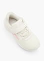 Graceland Sapatilha Beige 147179 2