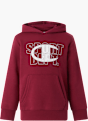 Champion Hoodie Rot 147228 1