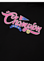 Champion Hoodie Schwarz 147234 3