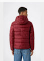 Champion Übergangsjacke Rot 147236 3