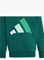 adidas Hoodie Dunkelgrün 148929 3
