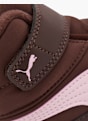 PUMA Boots d'hiver Marron 151594 5