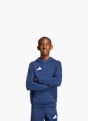 adidas Hoodie Blau 152648 2