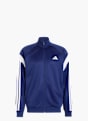 adidas Trainingsanzug Dunkelblau 159319 2