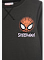 Spider-Man Sweatshirt Grau 163535 3
