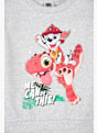 PAW Patrol Sweatshirt Grau 163567 3