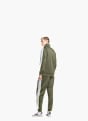 adidas Trainingsanzug Olive 164016 2