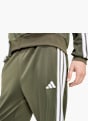 adidas Trainingsanzug Olive 164016 5