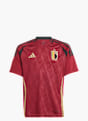 adidas Belgien 24 Heimtrikot Bordeaux 141348 1
