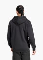 adidas TERREX Multi Large Logo Hoodie Schwarz 141355 3