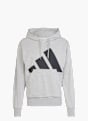 adidas Essentials Big Logo French Terry Hoodie Grau 142650 1