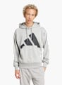 adidas Essentials Big Logo French Terry Hoodie Grau 142650 2