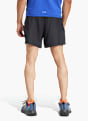 adidas Terrex Multi Light Shorts Schwarz 142796 3