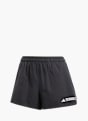 adidas Terrex Multi Light Shorts Schwarz 142800 1