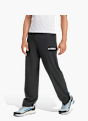 adidas Terrex Multi Liteflex Hose Schwarz 142806 2