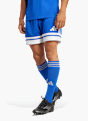adidas Squadra 25 Shorts Blau 142721 2