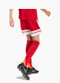adidas Squadra 25 Kids Shorts Rot 142445 3