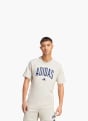 adidas Collegiate Lineage Graphic T-Shirt Beige 132038 2