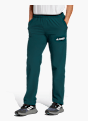 adidas Terrex Multi Liteflex Hose Grün 142810 2