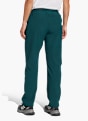 adidas Terrex Multi Liteflex Hose Grün 142810 3