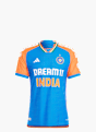 adidas India Cricket T20I Trikot Blau 132055 1